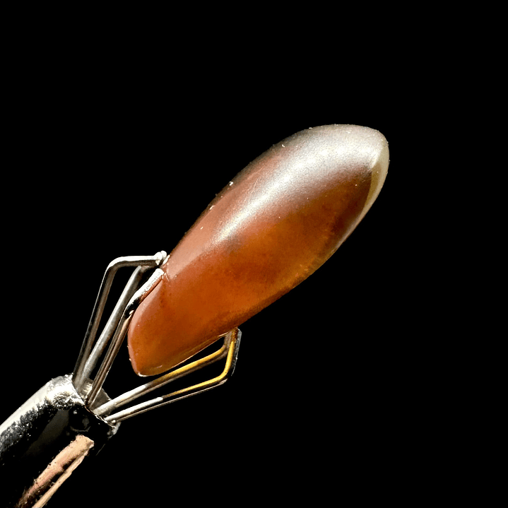 Ámbar con insecto #28 3