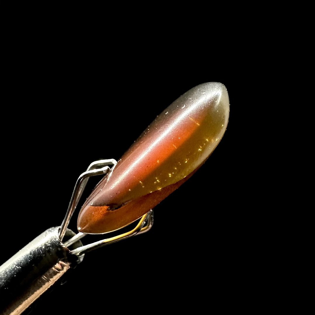 Ámbar con insecto #28 5