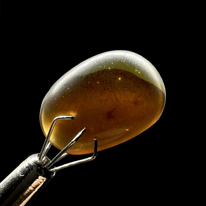 Ámbar con insecto #28 4