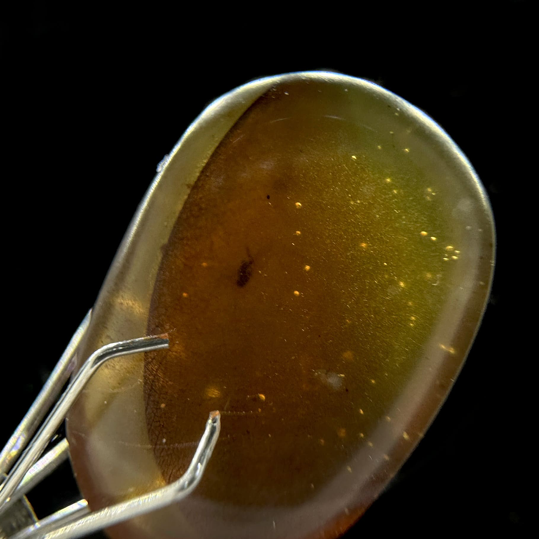 Ámbar con insecto #28 2