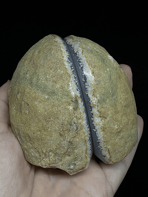 Geodas de Ágata Pareadas #33