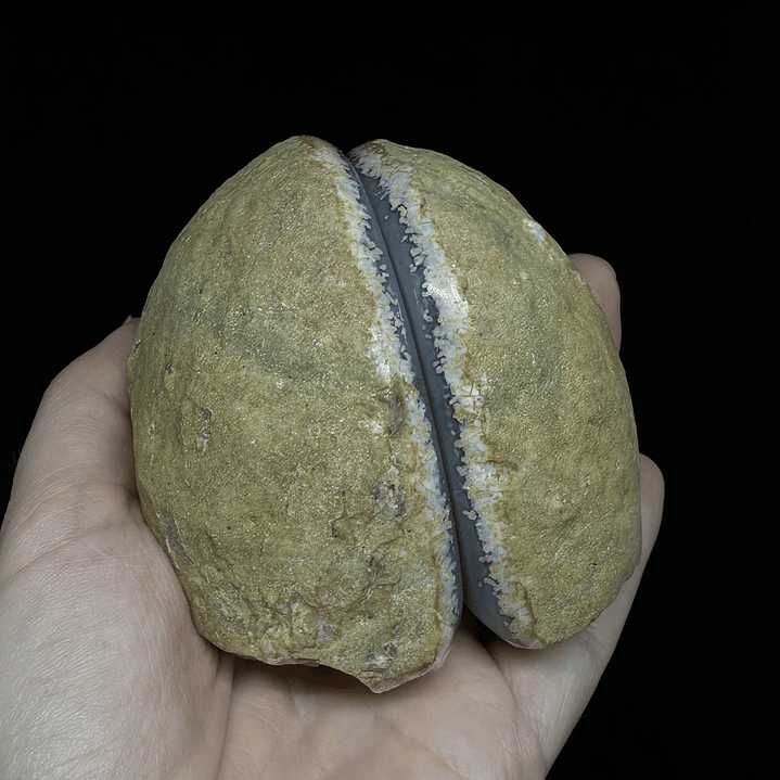 Geodas de Ágata Pareadas #33 2