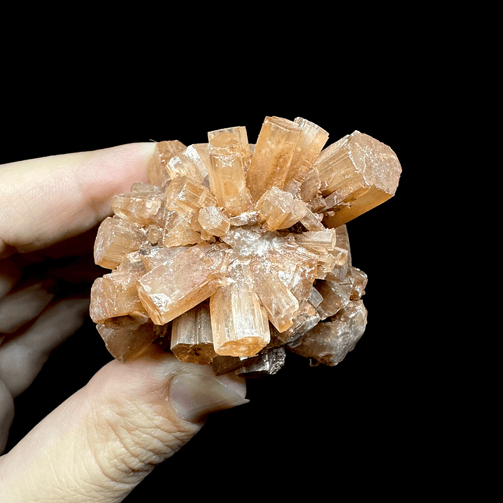 Aragonito Sputnik #13 6