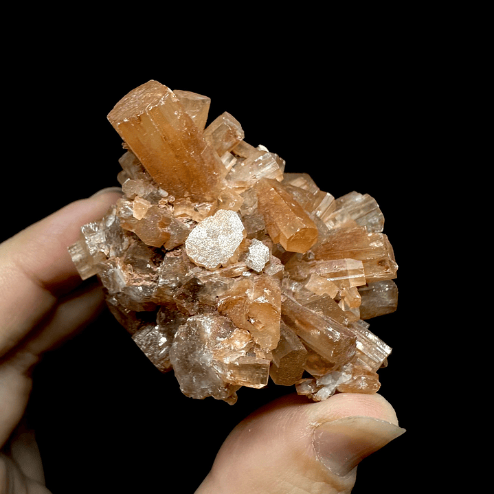 Aragonito Sputnik #13 1