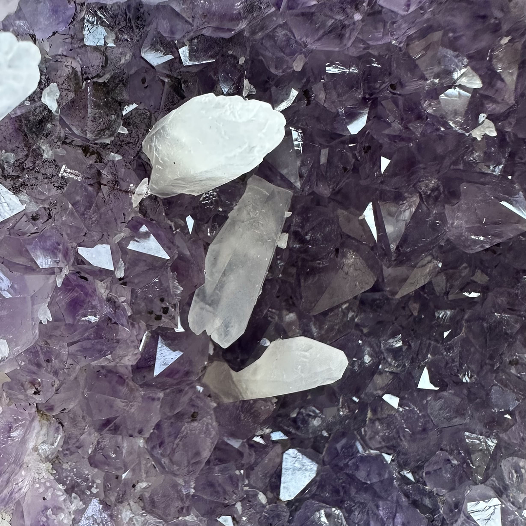 Capilla Amatista #33 3