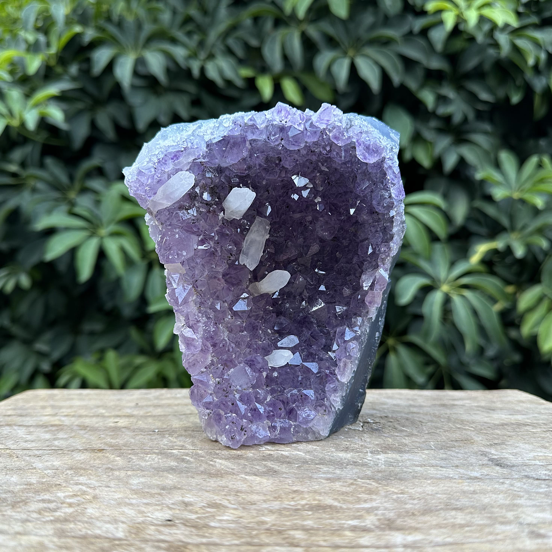 Capilla Amatista #33 1