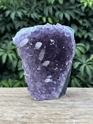 Capilla Amatista #33