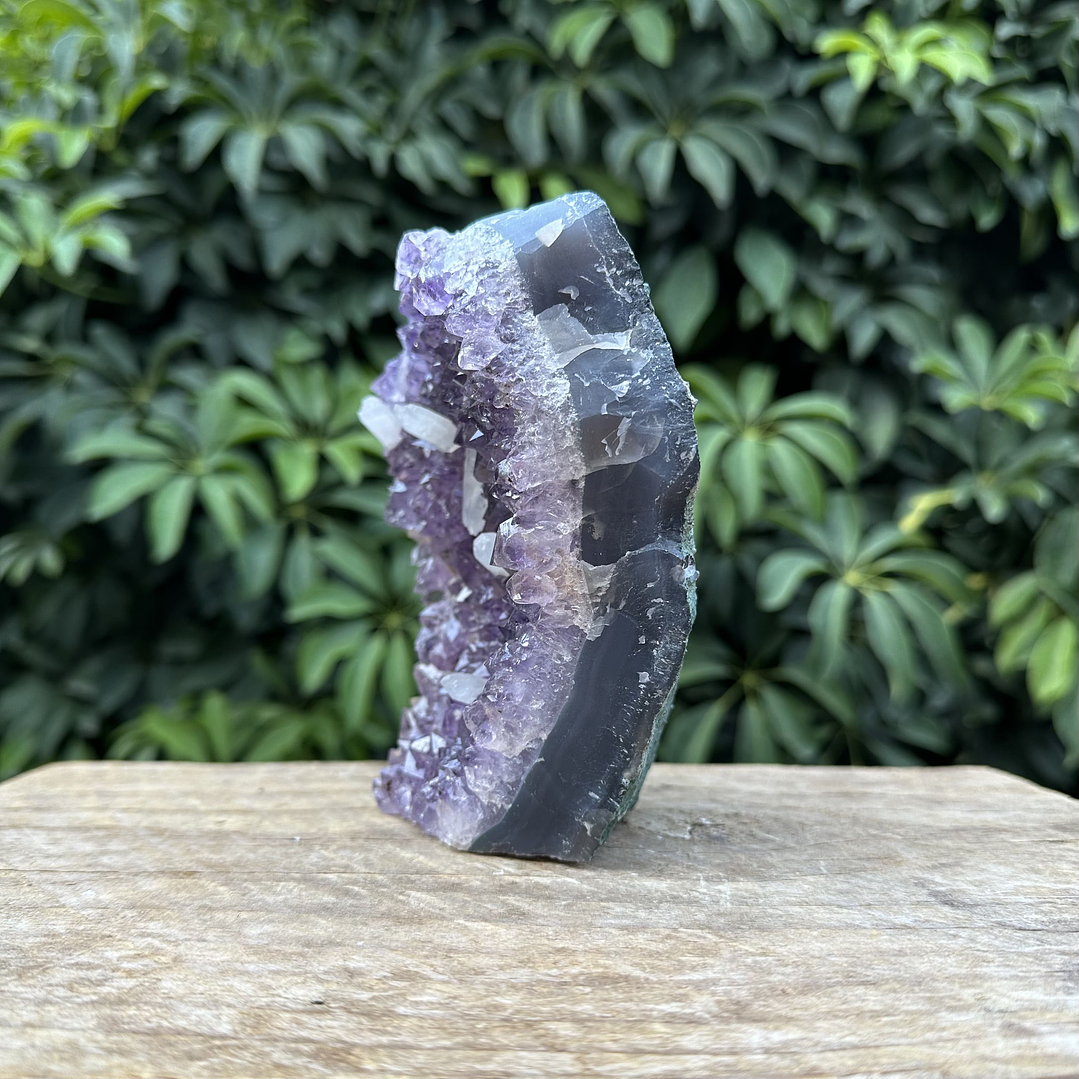 Capilla Amatista #33 4