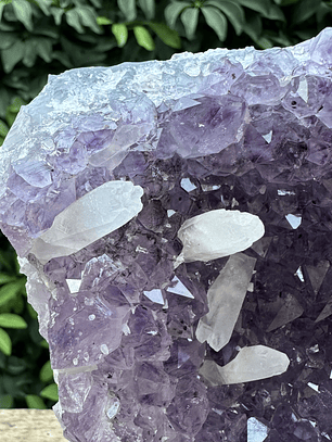 Capilla Amatista #33