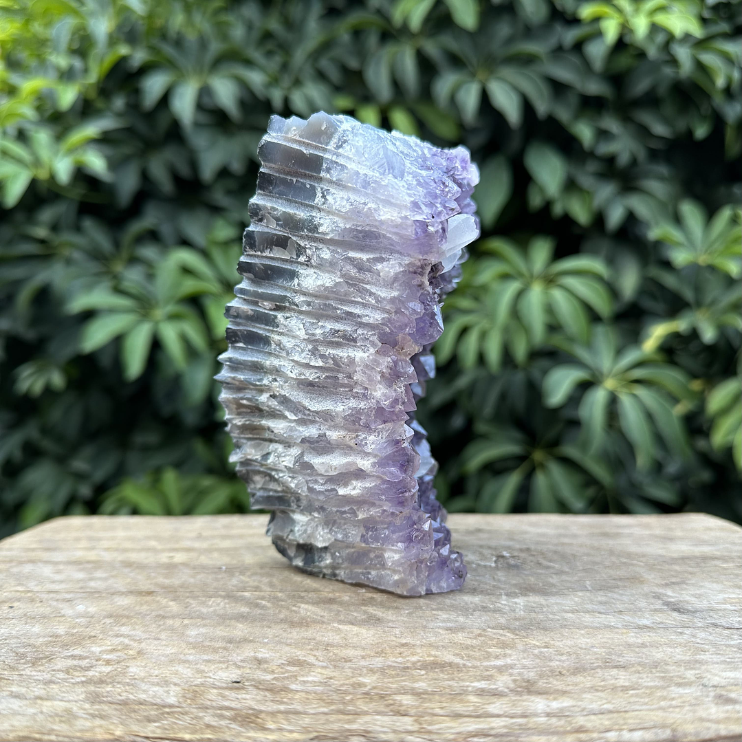 Capilla Amatista #33 5