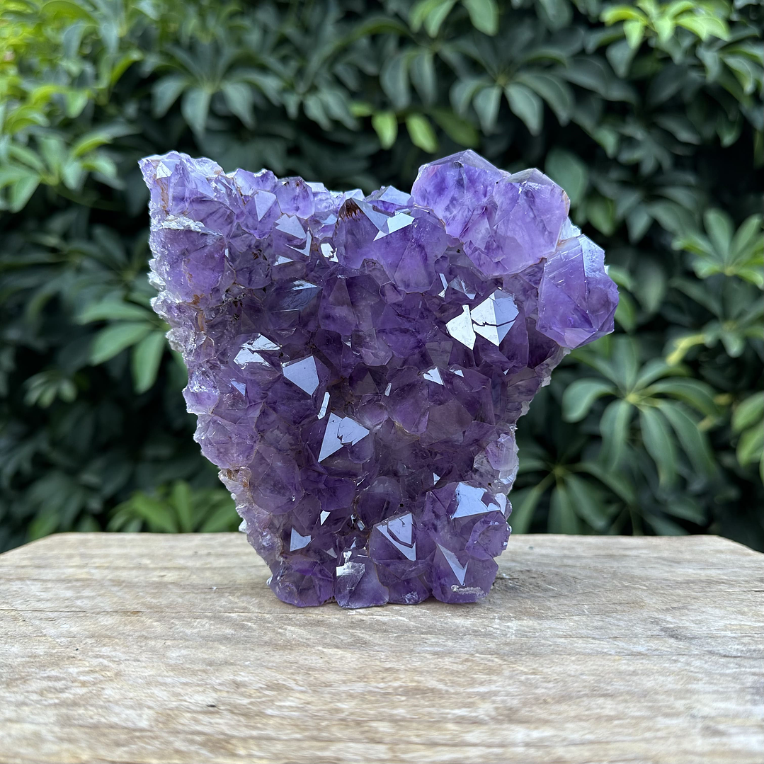 Capilla Amatista #34 1