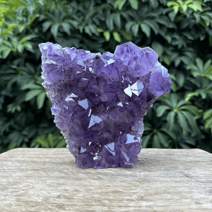 Capilla Amatista #34 1