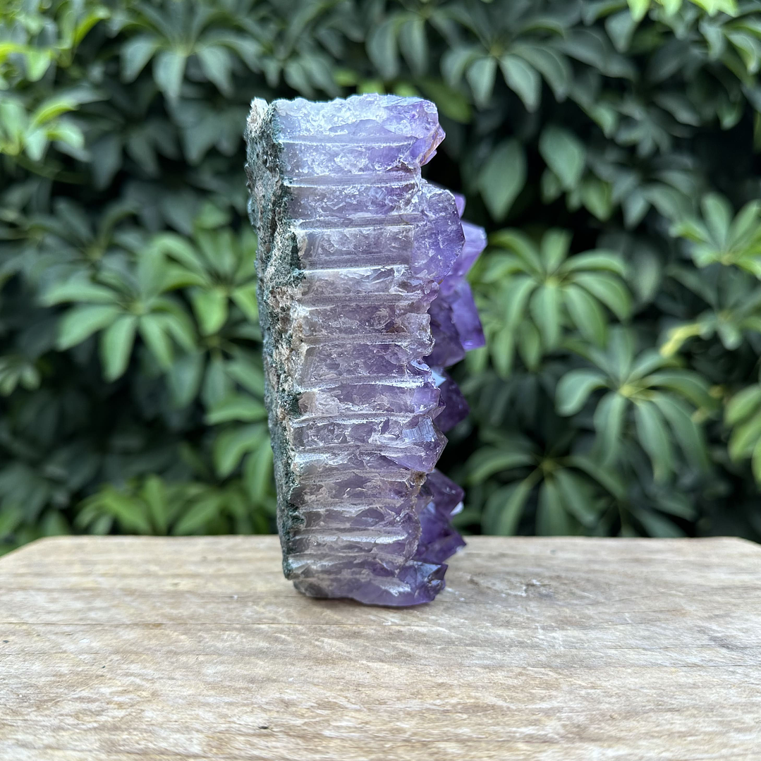 Capilla Amatista #34 5