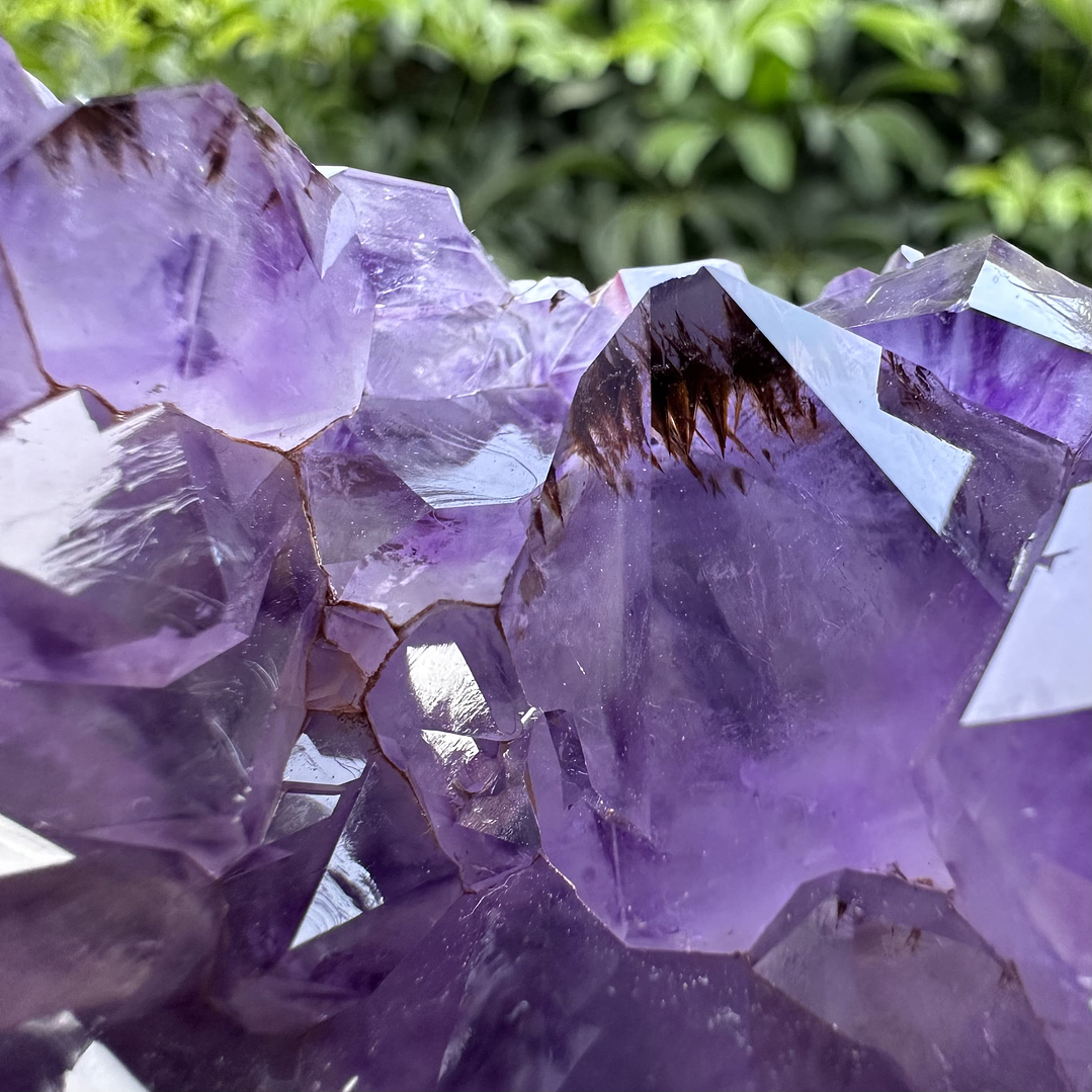 Capilla Amatista #34 2