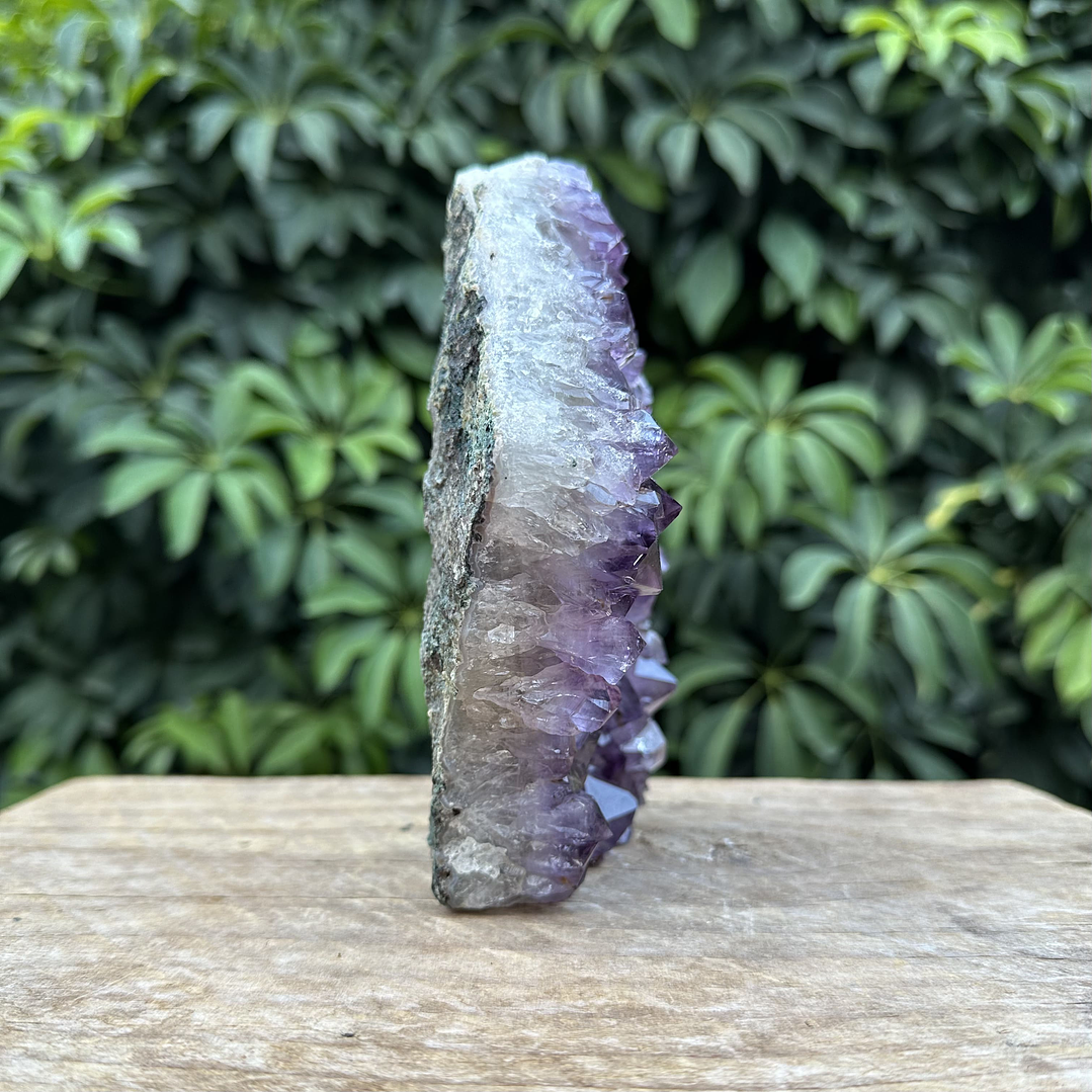 Capilla Amatista #35 4