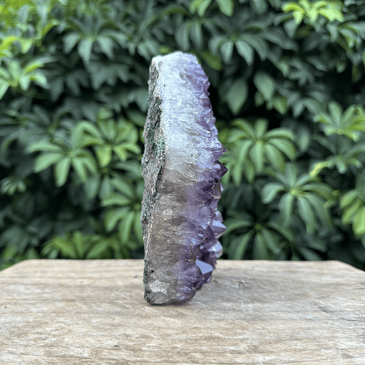 Capilla Amatista #35 4