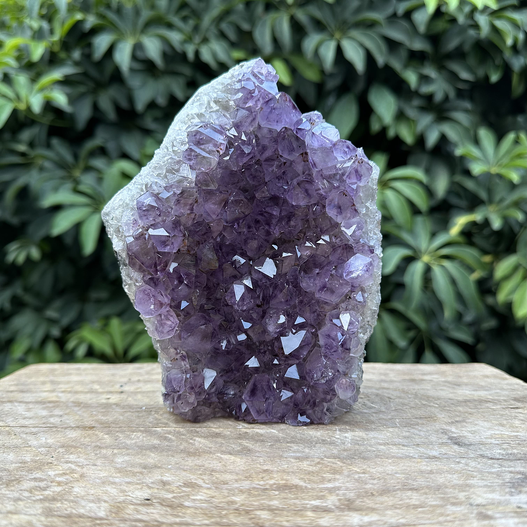 Capilla Amatista #35 1