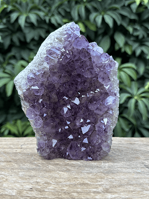 Capilla Amatista #35