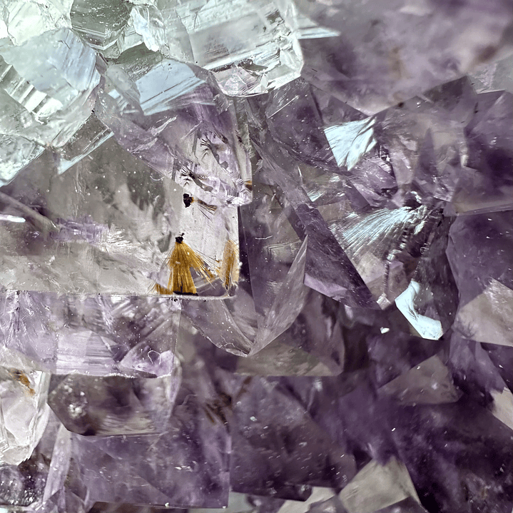 Capilla Amatista #35 2