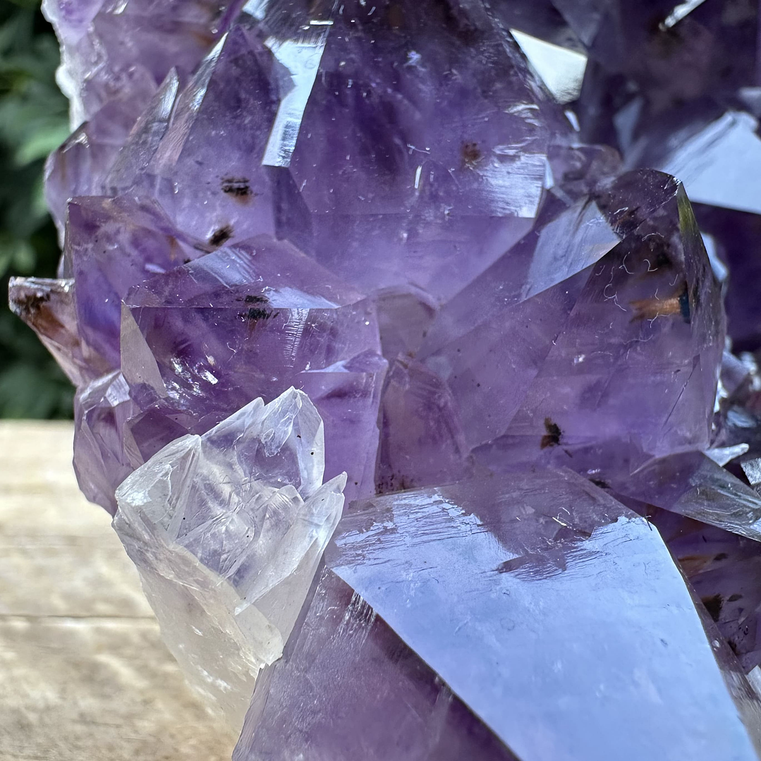 Capilla Amatista #36 2