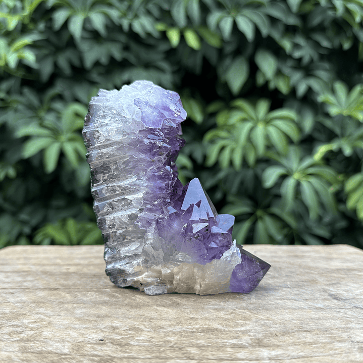 Capilla Amatista #36 5