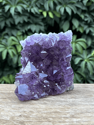 Capilla Amatista #36