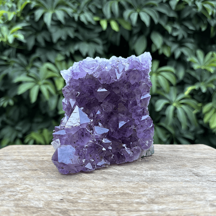 Capilla Amatista #36 1