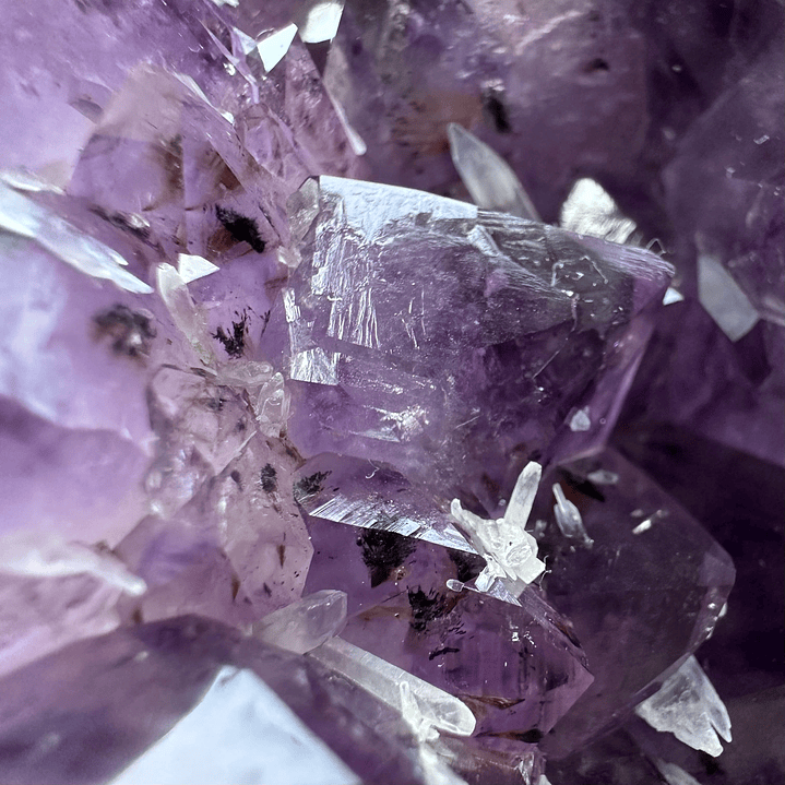 Capilla Amatista #36 3