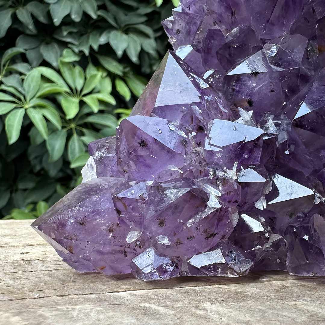 Capilla Amatista #36 4