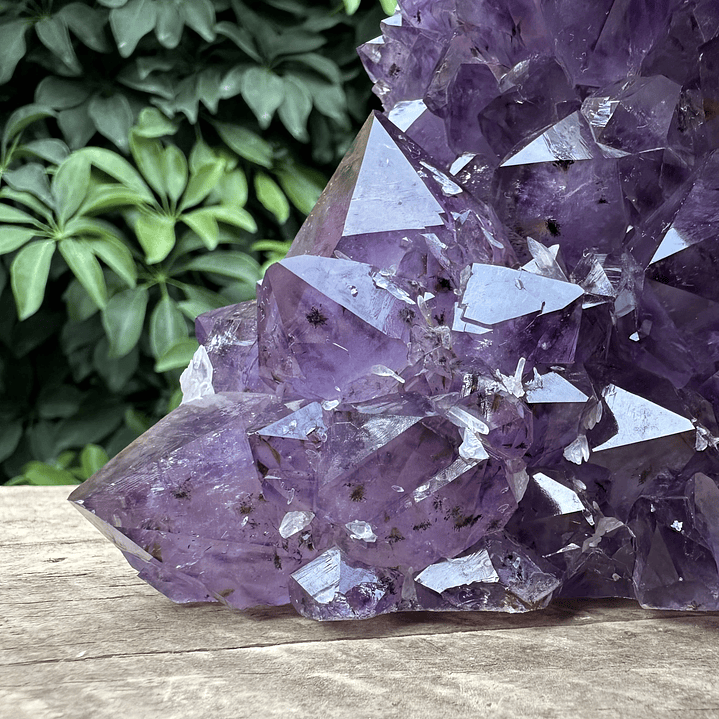 Capilla Amatista #36 4