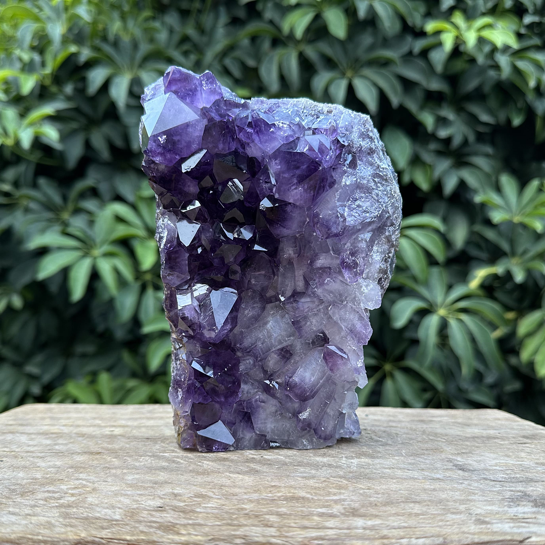 Capilla Amatista #37 1