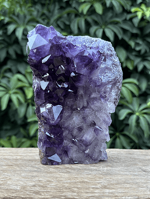 Capilla Amatista #37