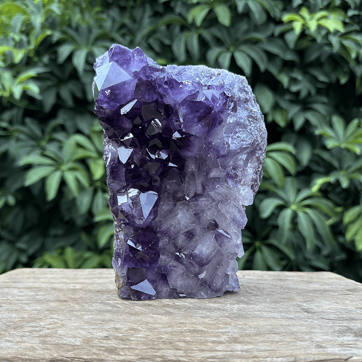 Capilla Amatista #37 1