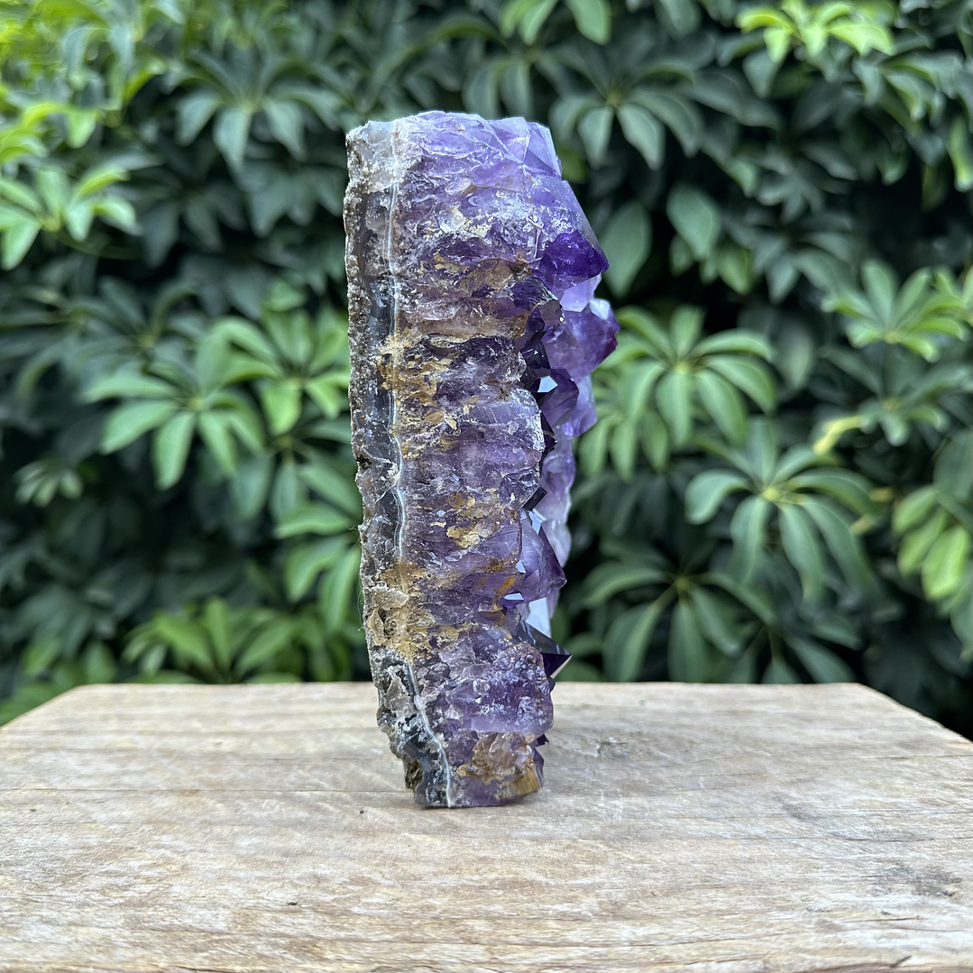 Capilla Amatista #37 5