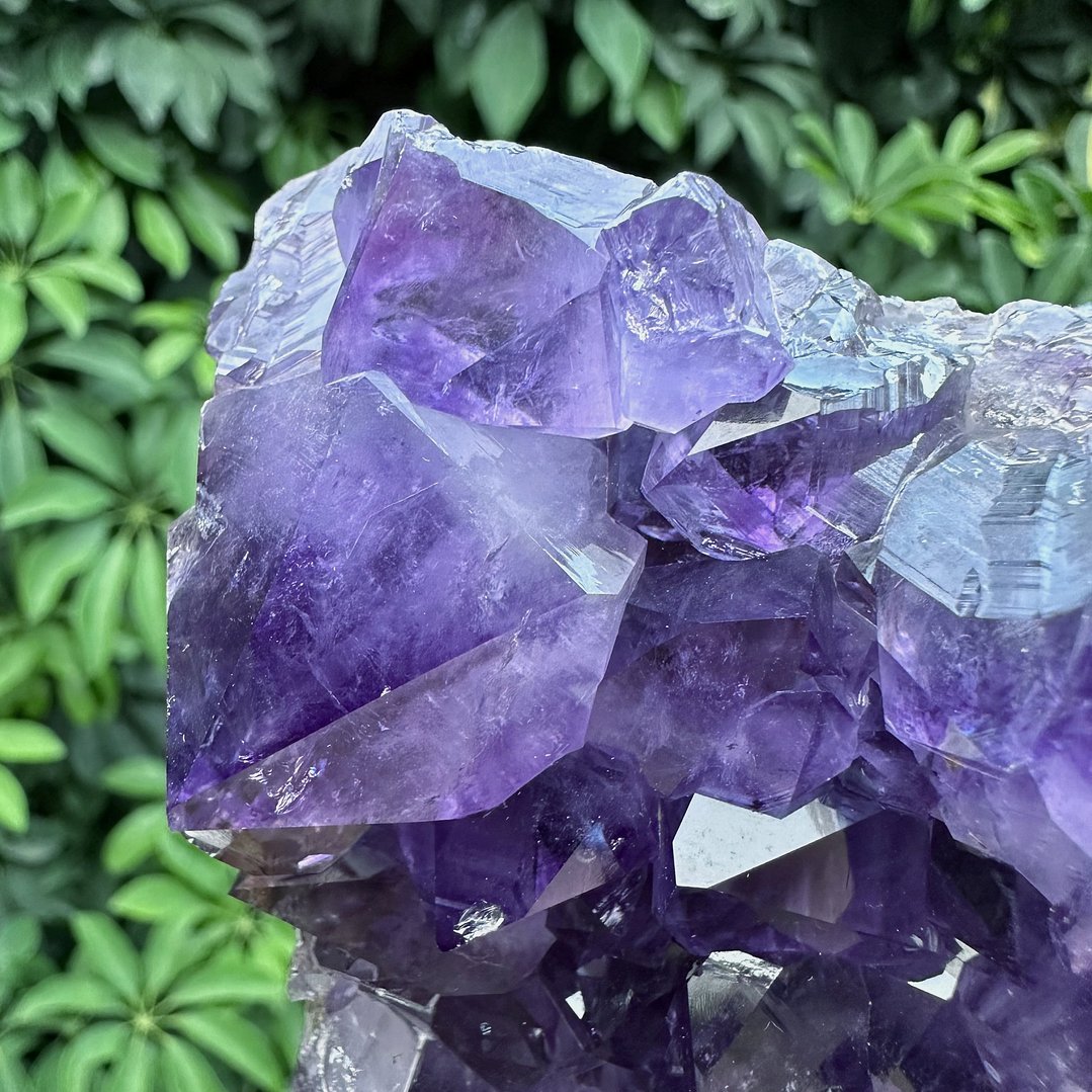 Capilla Amatista #37 4