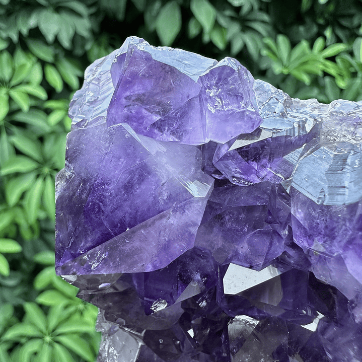 Capilla Amatista #37 4