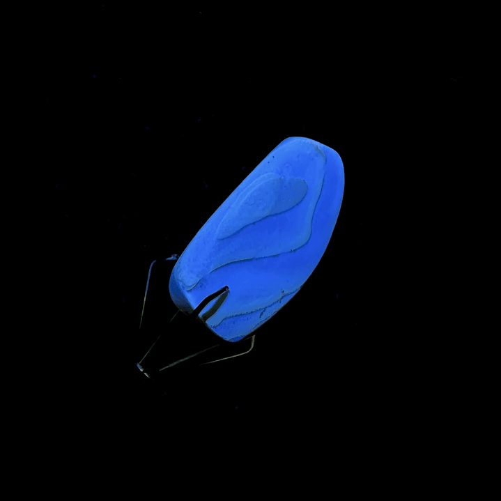 Ámbar con insecto #29 3