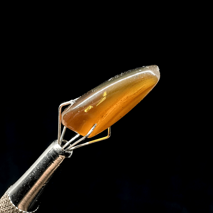 Ámbar con insecto #29 5