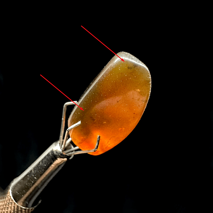 Ámbar con insecto #29 1