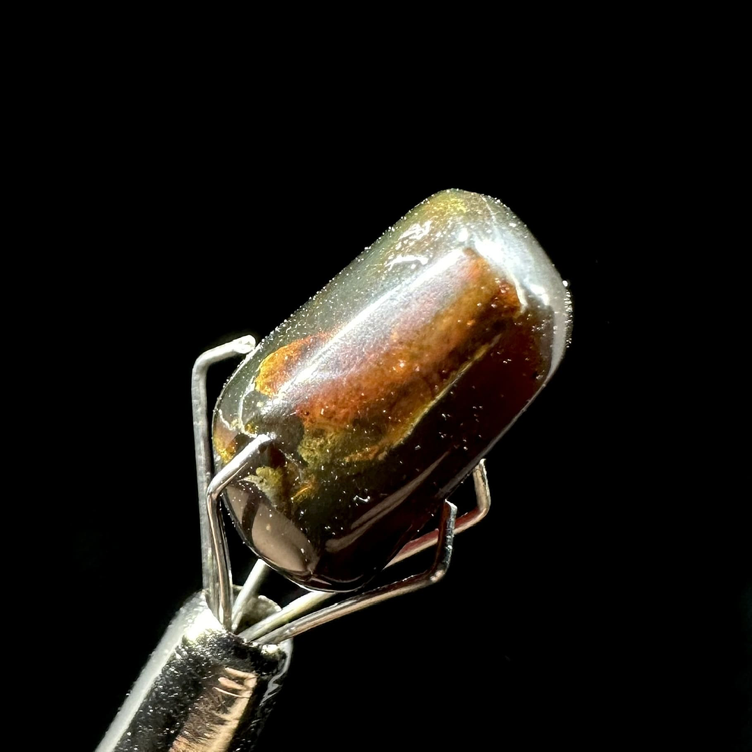 Ámbar con insecto #30 7