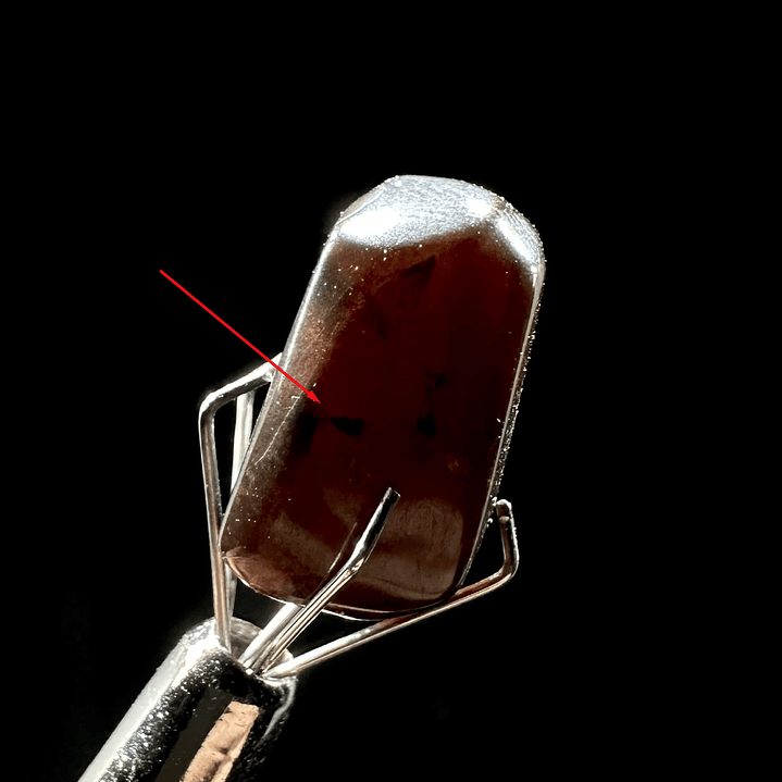 Ámbar con insecto #30 3