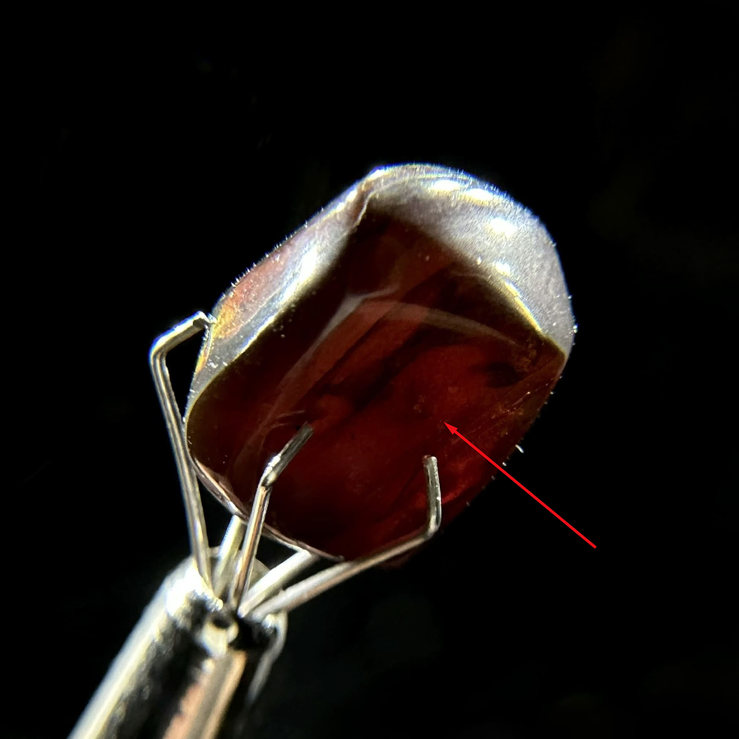 Ámbar con insecto #30 1