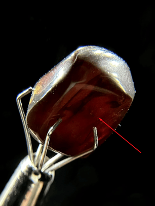 Ámbar con insecto #30