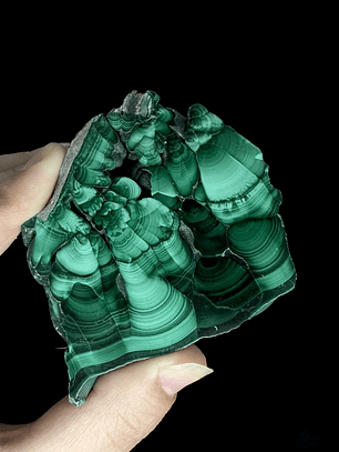 Malaquita pulida del Congo #15