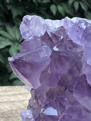 Capilla Amatista mini #39