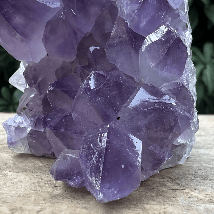 Capilla Amatista mini #39 5