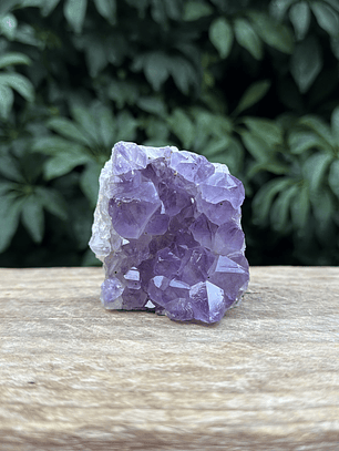 Capilla Amatista mini #39