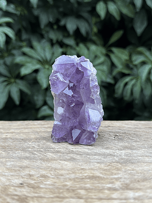 Capilla Amatista mini #40