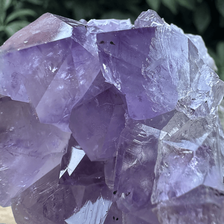 Capilla Amatista mini #40 5