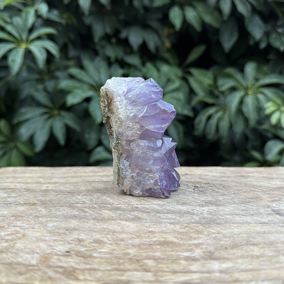 Capilla Amatista mini #40 4